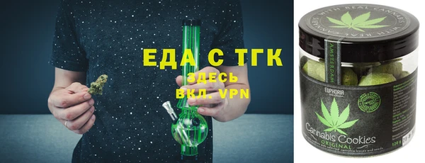 хмурый Алексин