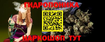 шишки Моздок