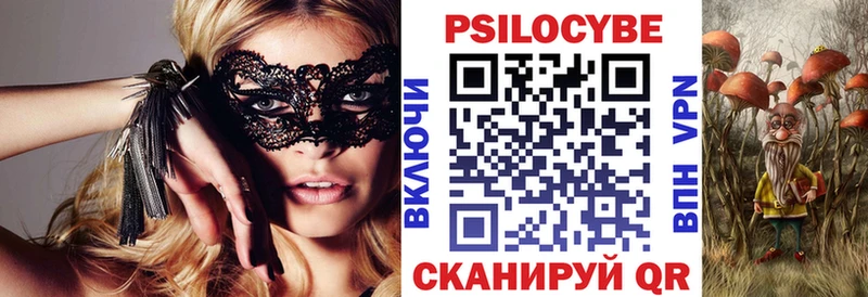 Галлюциногенные грибы Psilocybine cubensis  Ступино 