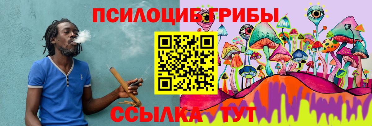 Ступино  где найти наркотики  Вход с VPN  Псилоцибиновые грибы Psilocybine cubensis 