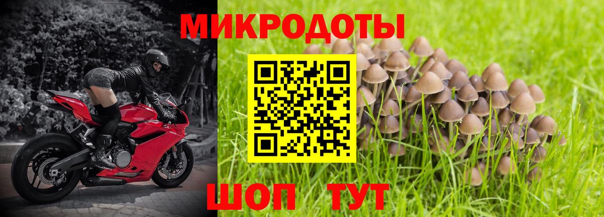Галлюциногенные грибы ЛСД Ступино